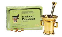 3793_BIOAKTIVNI PYCNOGENOL 90 TABLET